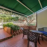 Nereidi - Goelba
